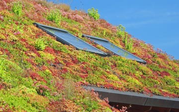 Boulder Clough living roof systems